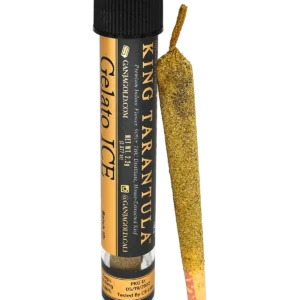 Ganja Gold/King Tarantula